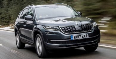 Manual SKODA KODIAQ 2017 de Usuario PDF Gratis