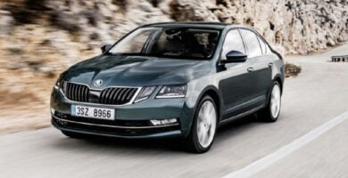 Manual SKODA OCTAVIA 2017 de Usuario PDF Gratis