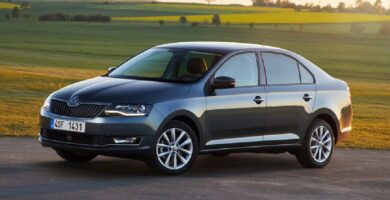 Manual SKODA RAPID 2017 de Usuario PDF Gratis