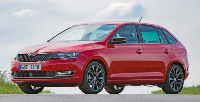 Manual SKODA RAPID SPACEBACK 2017 de Usuario PDF Gratis