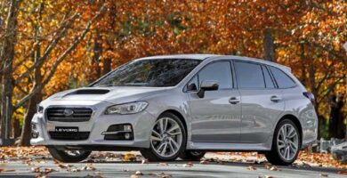 Manual SUBARU LEVORG 2017 de Usuario PDF Gratis