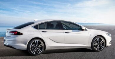 Manual OPEL INSIGNIA 2018 de Usuario PDF Gratis