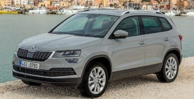 Manual SKODA KAROQ 2018 de Usuario PDF Gratis