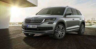 Manual SKODA KODIAQ 2018 de Usuario PDF Gratis