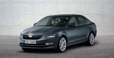 Manual SKODA OCTAVIA 2018 de Usuario PDF Gratis