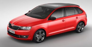 Manual SKODA RAPID SPACEBACK 2018 de Usuario PDF Gratis