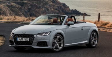 Manual AUDI TT ROADSTER 2018 PDF GRATIS ???? de Usuario