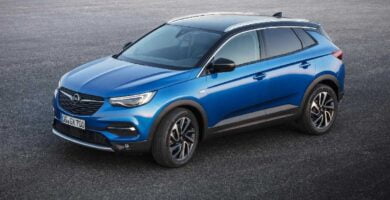 Manual OPEL GRANDLAND X 2019 de Usuario PDF Gratis