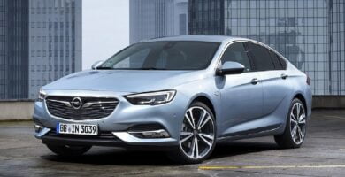 Manual OPEL INSIGNIA 2019 de Usuario PDF Gratis