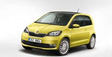 Manual SKODA CITIGO 2019 de Usuario PDF Gratis