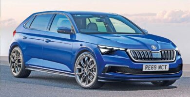 Manual SKODA RAPID SPACEBACK 2019 de Usuario PDF Gratis