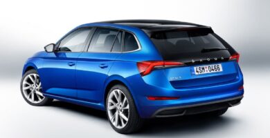 Manual SKODA SCALA 2019 de Usuario PDF Gratis