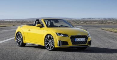 Manual AUDI TT ROADSTER 2019 PDF GRATIS ???? de Usuario