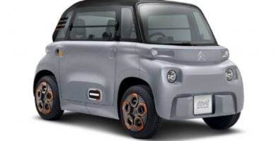 Manual CITROËN AMI 2020 PDF GRATIS ???? de Usuario