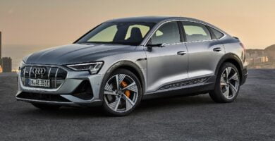 Manual AUDI E-TRON 2020 PDF GRATIS ???? de Usuario