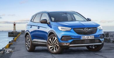 Manual OPEL GRANDLAND X 2020 de Usuario PDF Gratis