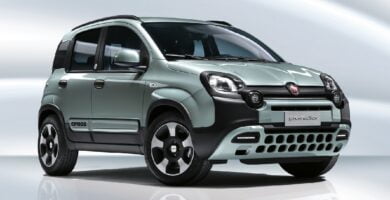 Manual FIAT PANDA 2020 PDF GRATIS ???? de Usuario