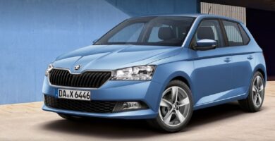 Manual SKODA FABIA 2020 de Usuario PDF Gratis