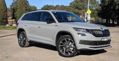 Manual SKODA KODIAQ 2020 de Usuario PDF Gratis