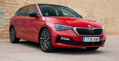 Manual SKODA SCALA 2020 de Usuario PDF Gratis