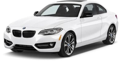 Manual BMW 2 Series COUPE 2015 de Usuario