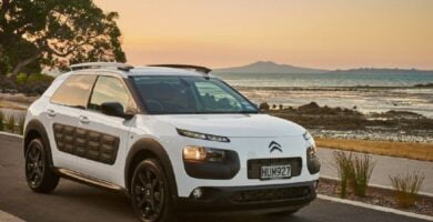 Manual CITROËN C4 CACTUS 2016 PDF GRATIS ???? de Usuario