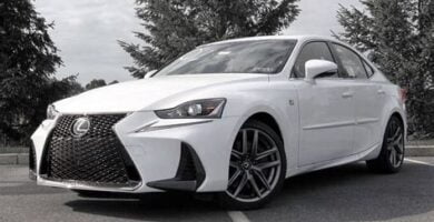 Manual LEXUS IS300 2019