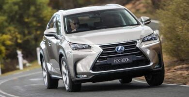 Manual LEXUS NX 2014