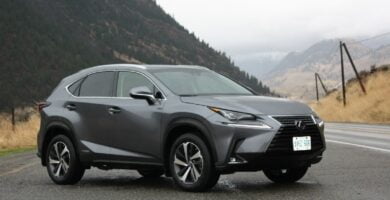 Manual LEXUS NX300 2018