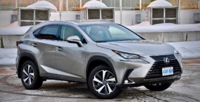 Manual LEXUS NX300 2019