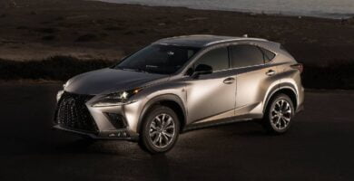 Manual LEXUS NX300 2020