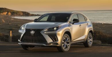 Manual LEXUS NX300 2021