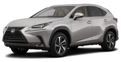 Manual LEXUS NX300h 2019