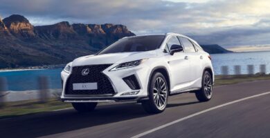 Manual LEXUS RX350 2021