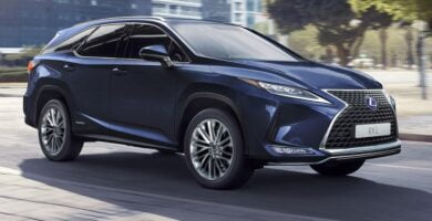 Manual LEXUS RX450hL 2020