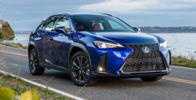 Manual LEXUS UX200 2019