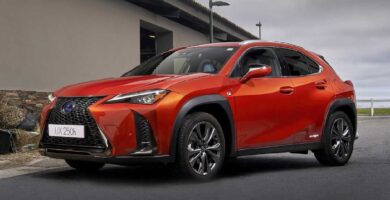 Manual LEXUS UX250h 2019