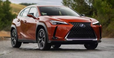 Manual LEXUS UX250h 2020