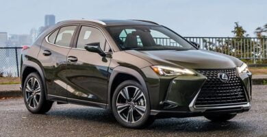 Manual LEXUS UX250h 2021