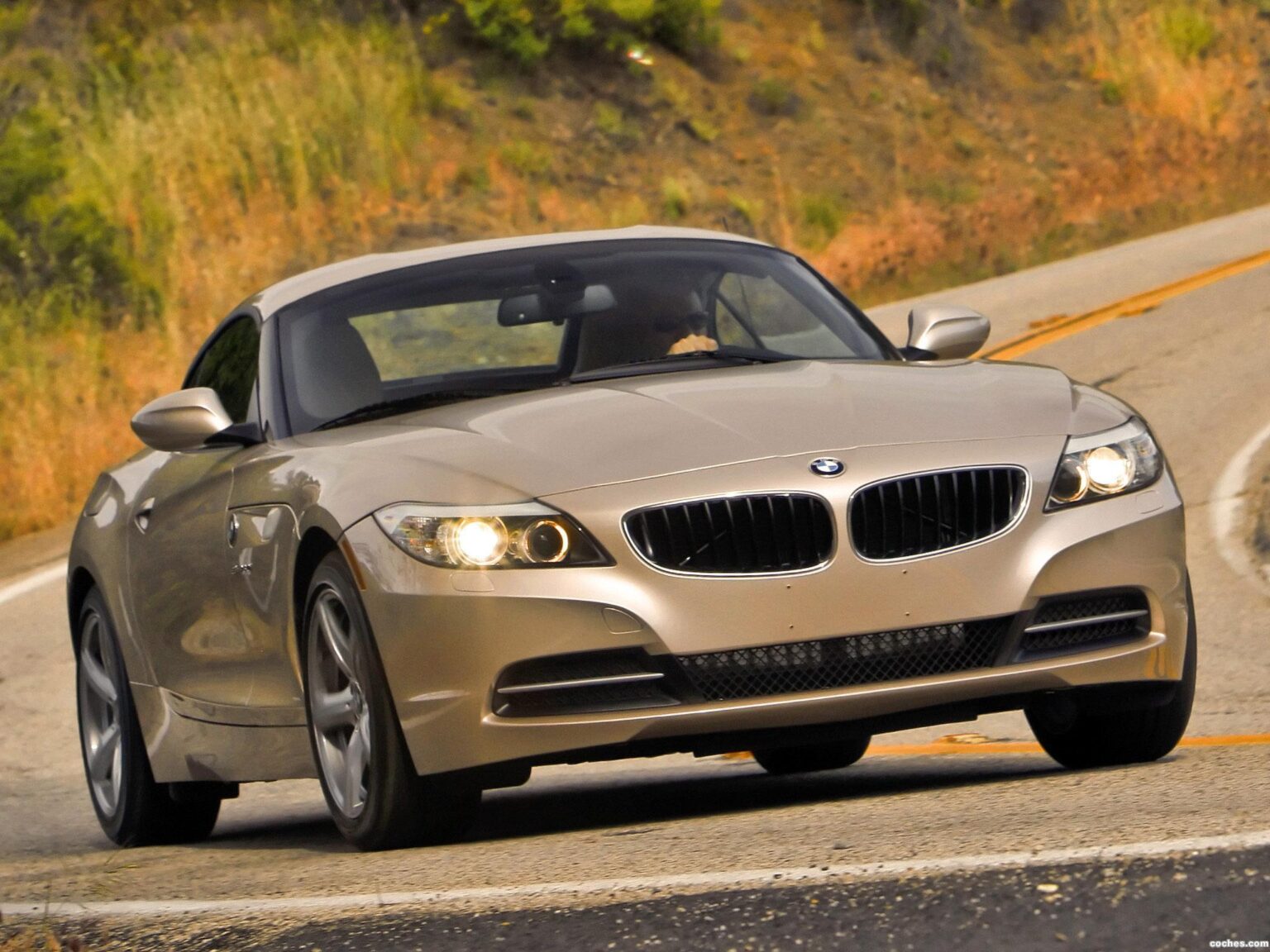 Manual BMW Z4 sDrive30i 2009-2011 de Usuario