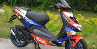 Manual APRILIA DITECH RS 2000 de Usuario PDF GRATIS