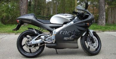 Manual APRILIA RS 2002 de Usuario PDF GRATIS