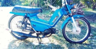 Manual Moto DAELIM liberty 50 CC 1995 de Usuario PDF GRATIS