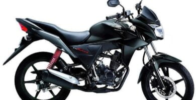 Manual HONDA CB 110 2010 de Usuario PDF GRATIS