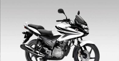 Manual Moto HONDA CBF 2010 de Usuario PDF GRATIS