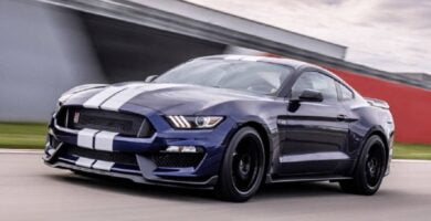 Manual de Usuario FORD MUSTANG 2019 en PDF Gratis