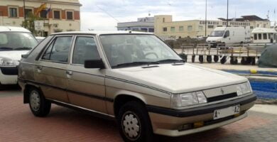 Manual RENAULT 4 FURGONETA 1987 de Reparación y Servicio