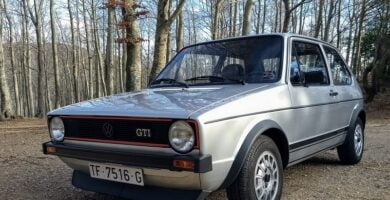 Manual VOLKSWAGEN Golf 1977 de Reparación GRATIS