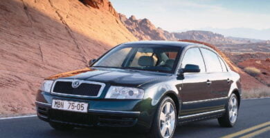 Manual SKODA SUPERB 2004 de Reparación y Servicio