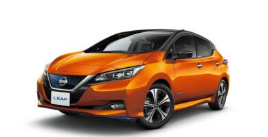 Manual de Usuario NISSAN LEAF 2020 en PDF Gratis